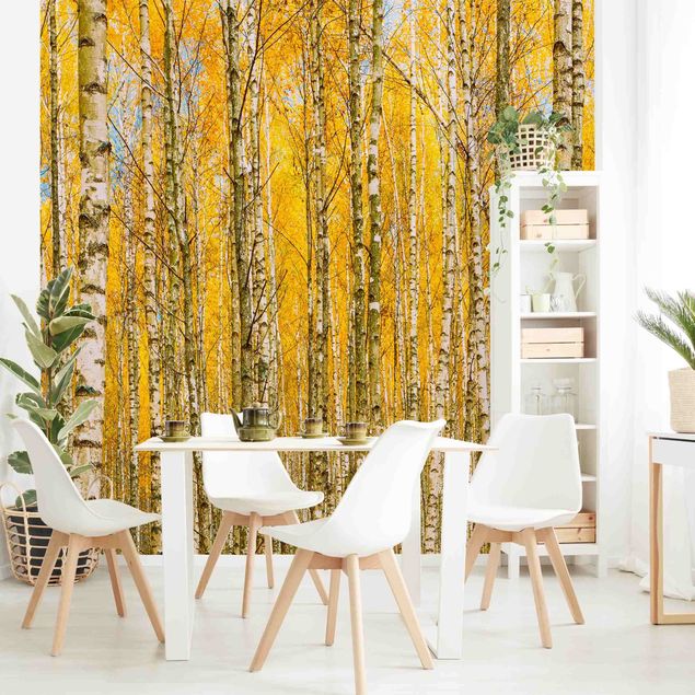 papel de parede para quarto de casal moderno Between Yellow Birch Trees